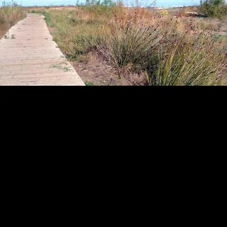 Acogedor En Con Wi-fi Y Aire Acondicionado, Cerca De La Playa - Es-373-2 דניה