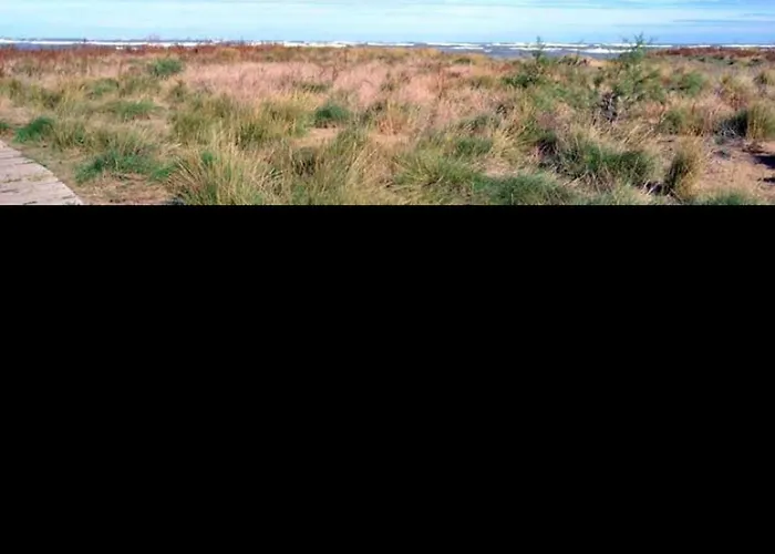 Appartement Acogedor En Con Wi-fi Y Aire Acondicionado, Cerca De La Playa - Es-373-2